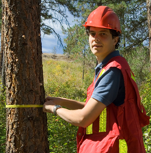 measuring tree