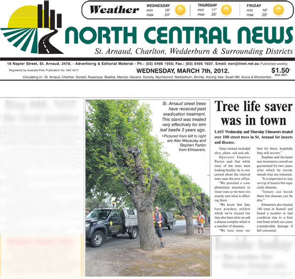 North Central News Street Tree Treatments Article