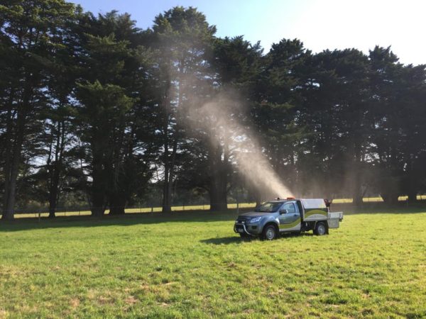 Elm leaf beetle spray | Elmsavers Elm leaf beetle spray | Elmsavers