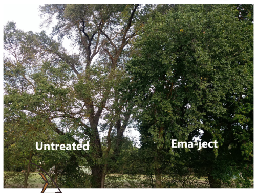 Ema-ject® RTU Tree Injectable Insecticide Features & Advantages